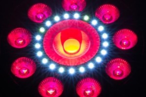 What's popular par lights on the market?