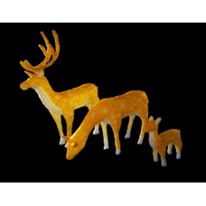 1809000000033  RT- Deer Family  