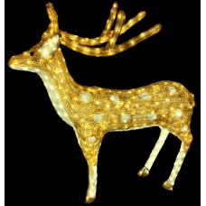 1809000000131  RT-Sika Deer -II 